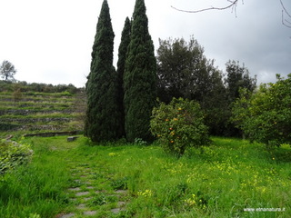 rme santa Venera13-03-2017 12-07-07